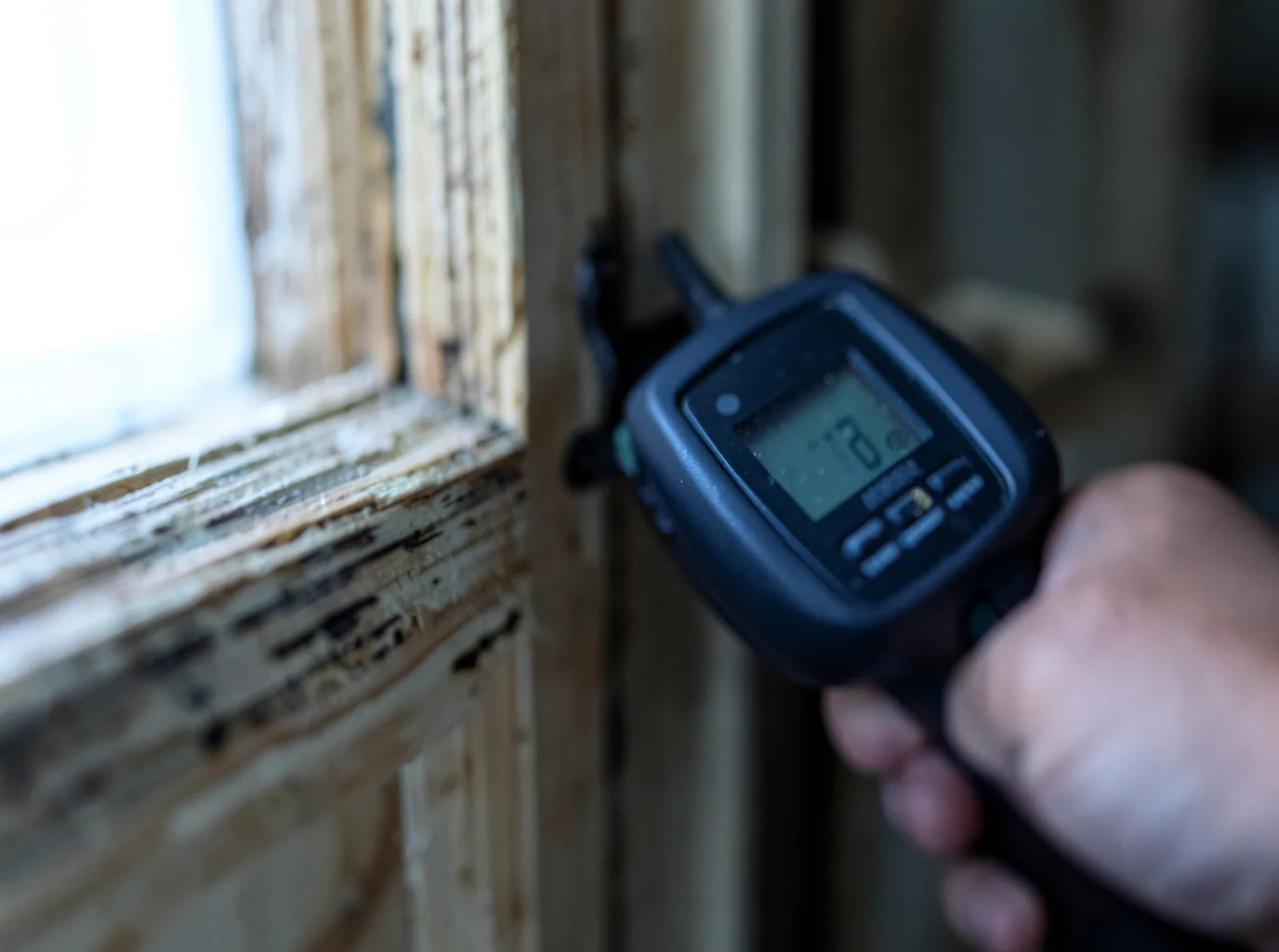 Moisture Inspection And Documentation in Tawas City, MI